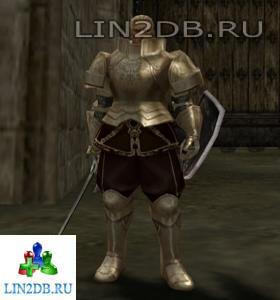 Элитный Наемник-Рыцарь | Knight Level Mercenary