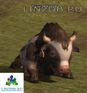Тучная Корова | Head Milk Cow