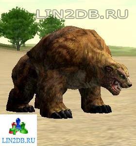 Рыжий Медведь | Red Bear