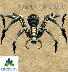 Арахнид Хищник | Arachnid Predator