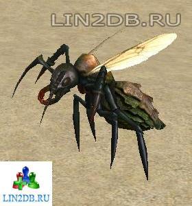 Вожак Элитных Муравьев | Noble Ant Leader