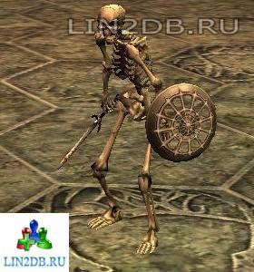Скелет Налетчик | Skeleton Raider