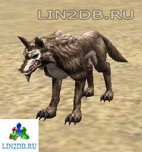 Волк Черного Леса | Black Timber Wolf