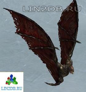 Красноглазая Летучая Мышь | Redeye Bat