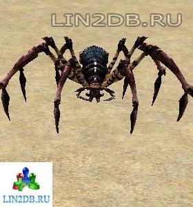 Красный Паук Падальщик | Red Scavenger Spider