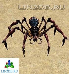 Паук Падальщик | Scavenger Spider