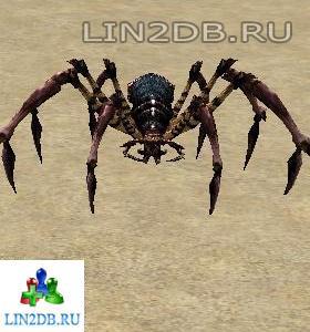 Подземный Паук | Dungeon Spider