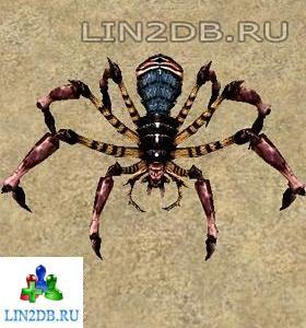 Паук Хелицера | Pincer Spider