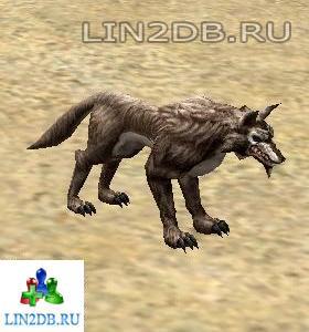 Древесный Волк Кхаши | Kasha Timber Wolf