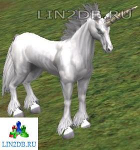 Старший Единорог | Unicorn Elder