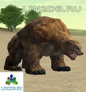 Медведь Охотник | Hunter Bear