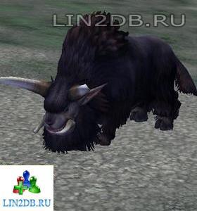 Луговой Матерый Буйвол | Grazing Elder Buffalo