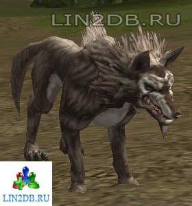 Рейдовый Боец Бездушный Волк | Raid Fighter Soulless Wolf