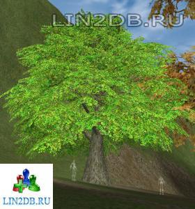 Квестовый Монстр Волшебное Дерево Ветра | Quest Monster Fairy Tree of Wind