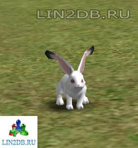 Королевский Слуга Кролик | "Royal Servant " Rabbit